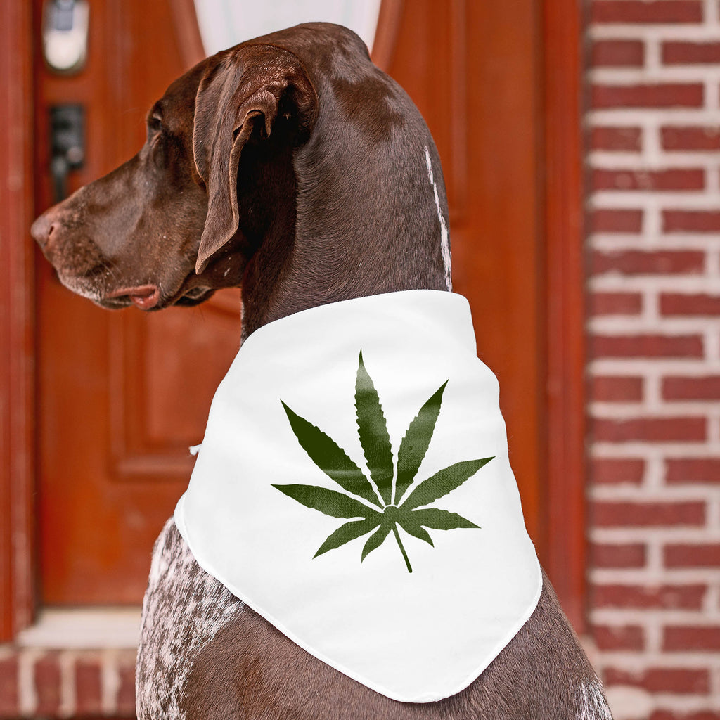 Free Shipping Marijuana Weed Leaf Stencil Pot Hemp DIY Hippie Art Signs  Joanie