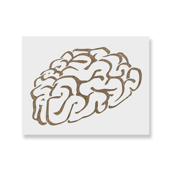 Brain Stencil Template – Reusable Mylar Stencil For Wall Painting & Crafts (Small & Large)