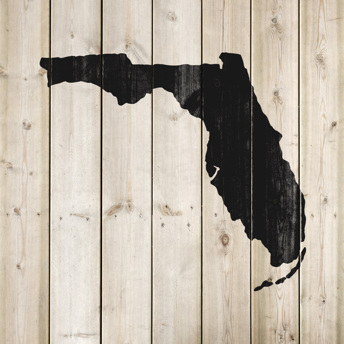 Florida State Stencil - Reusable Mylar Stencil For Art, Crafts & Home Decor