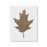 Oak Leaf Stencil