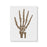 Skeleton Hand Stencil
