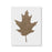 Oak Leaf Stencil