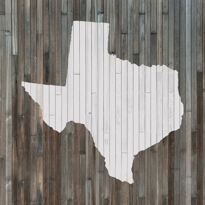 Texas State Stencil